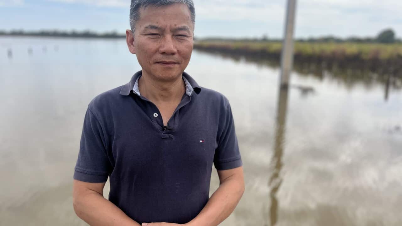 Image for read more article 'READ MORE'