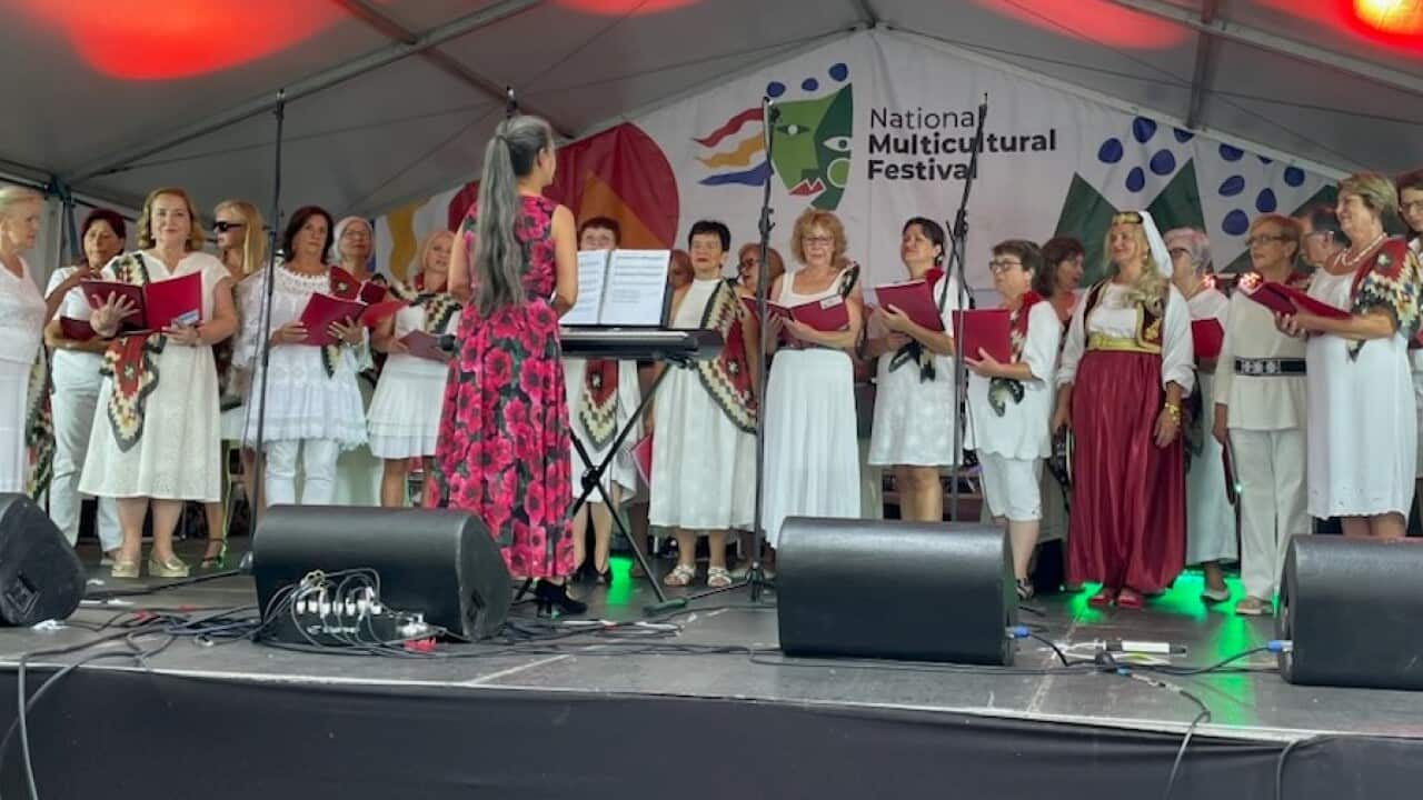 Nastup hora Sevdalinka na Nacionalnom multukulturalnom festivalu u Canberri, februar 2025..jpg