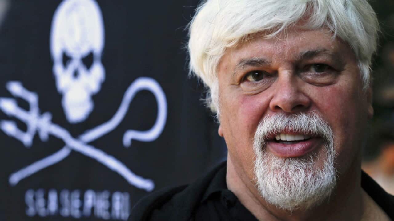 Sea Shepherd boss ready for arrest attempt