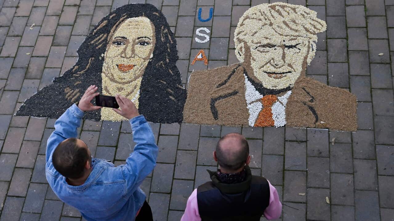 KOSOVO-US-VOTE-HARRIS-TRUMP-ART