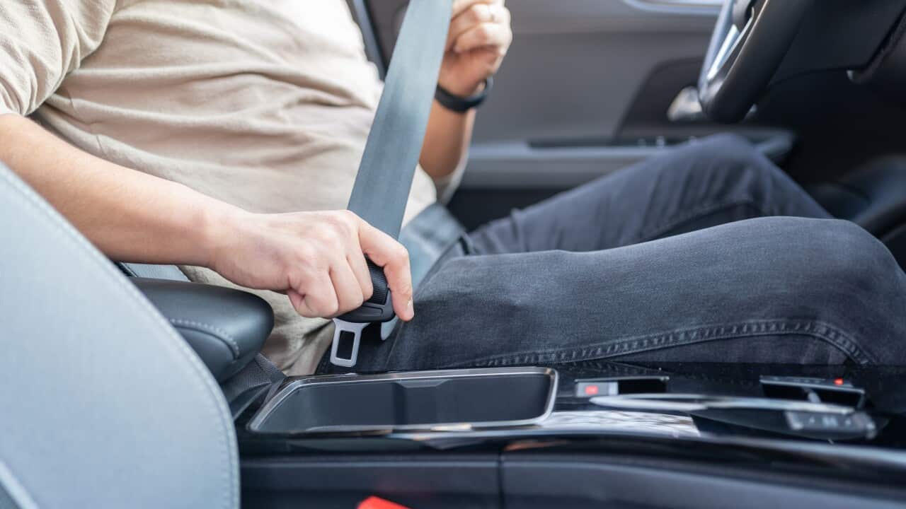 Putting On Safety Seatbelt