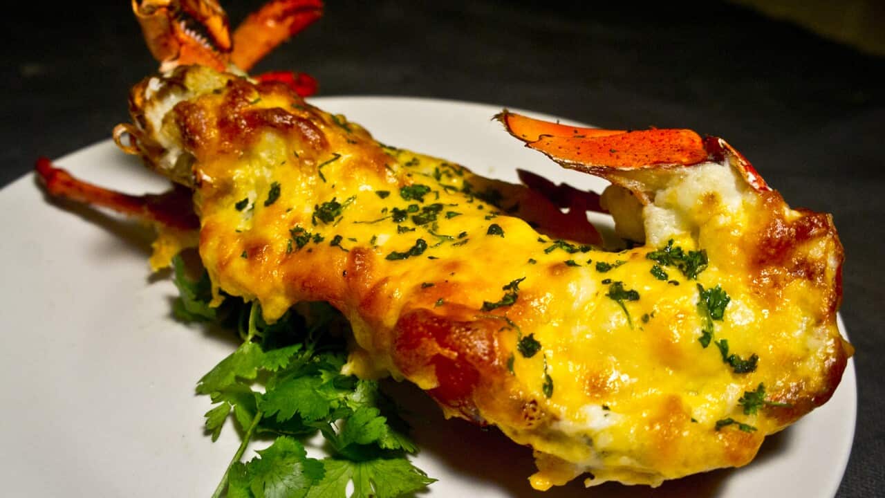 Image for read more article 'READ MORE'