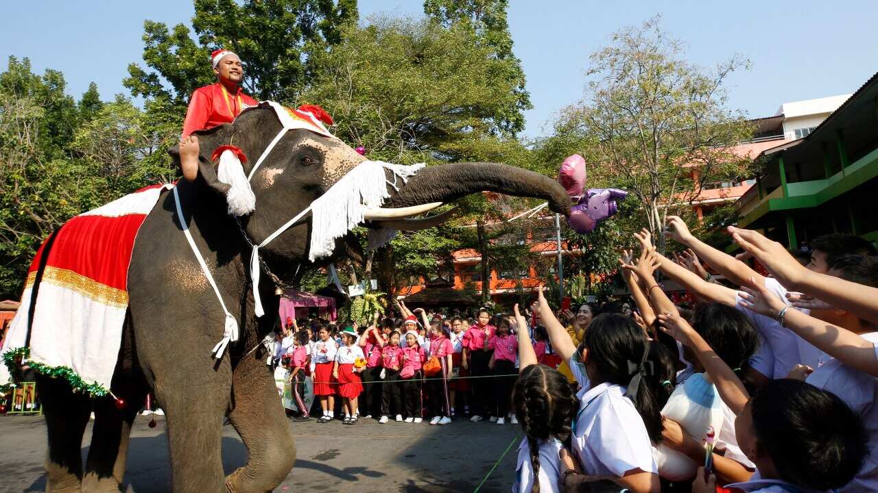 An elephant dressed as Santa Claus.