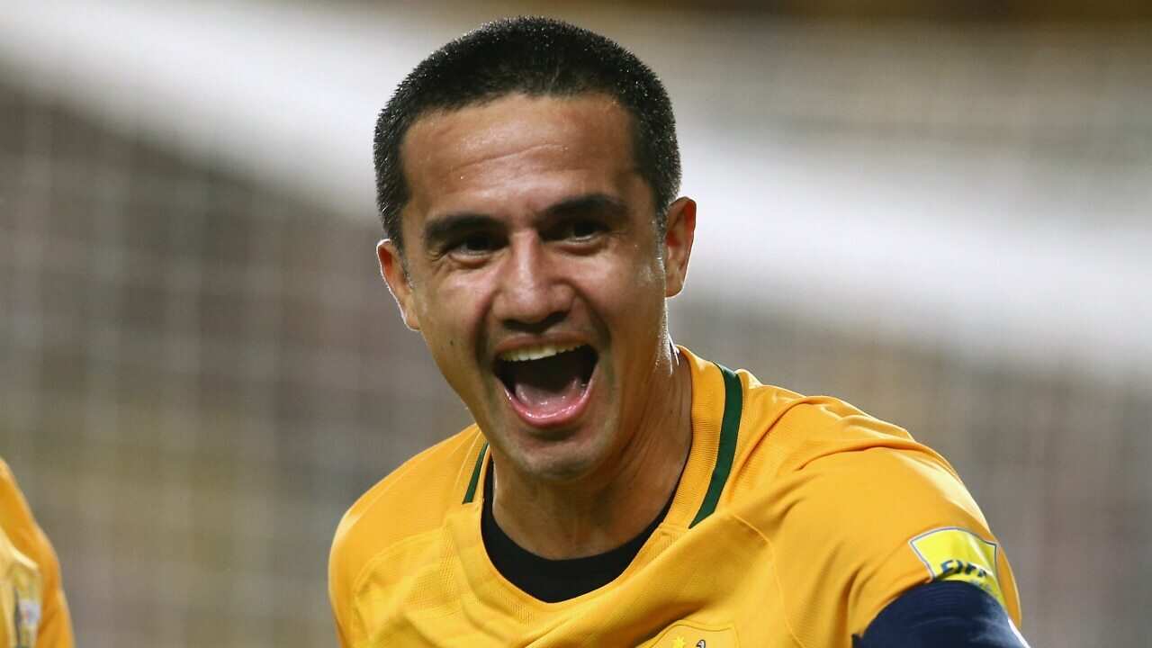 Tim Cahill