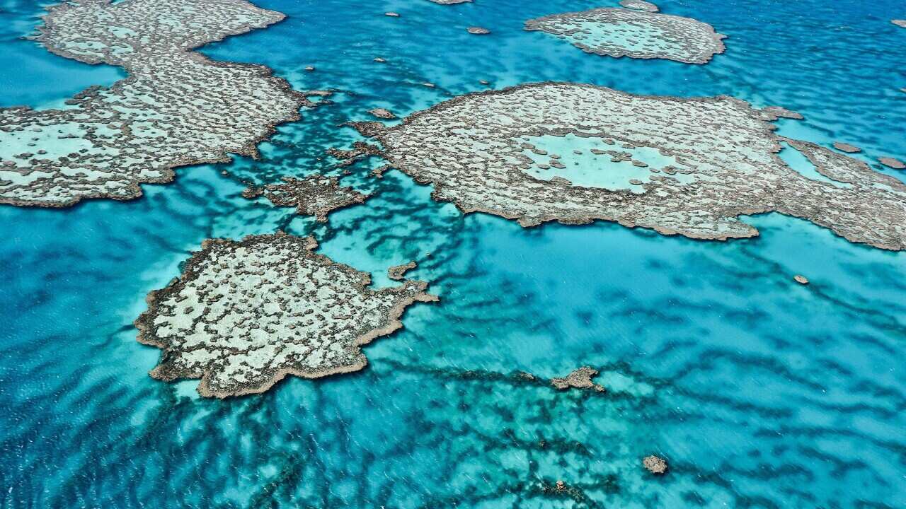 An aerial view of the Great Barrier Reef. (AAP)