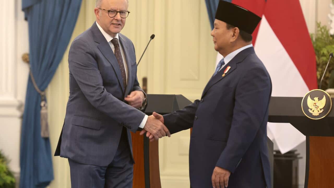 Australian Prime Minister Albanese meets Indonesian President Prabowo in Jakarta