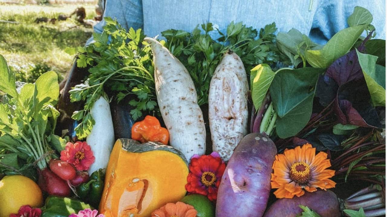 Image for read more article 'RESOURCEFUL'