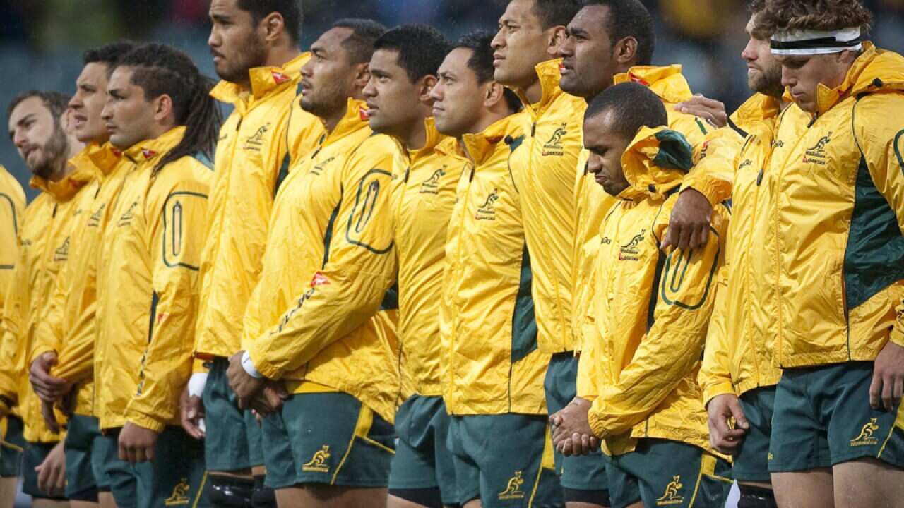 Members of the Australian Wallabies rugby union side
