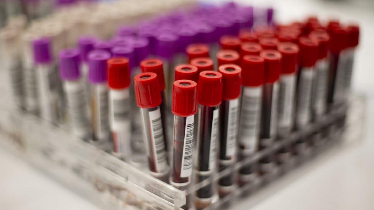 Canadian Blood Services donation clinic