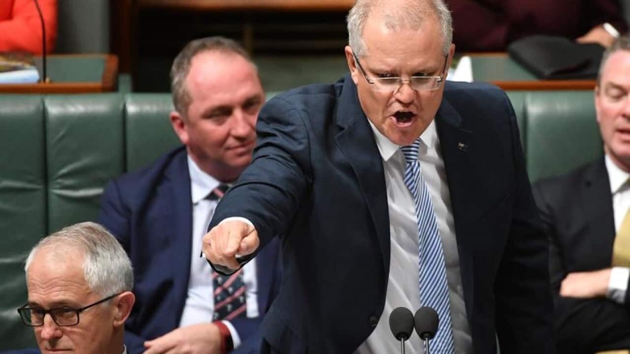 Treasurer Scott Morrison during Question Time.