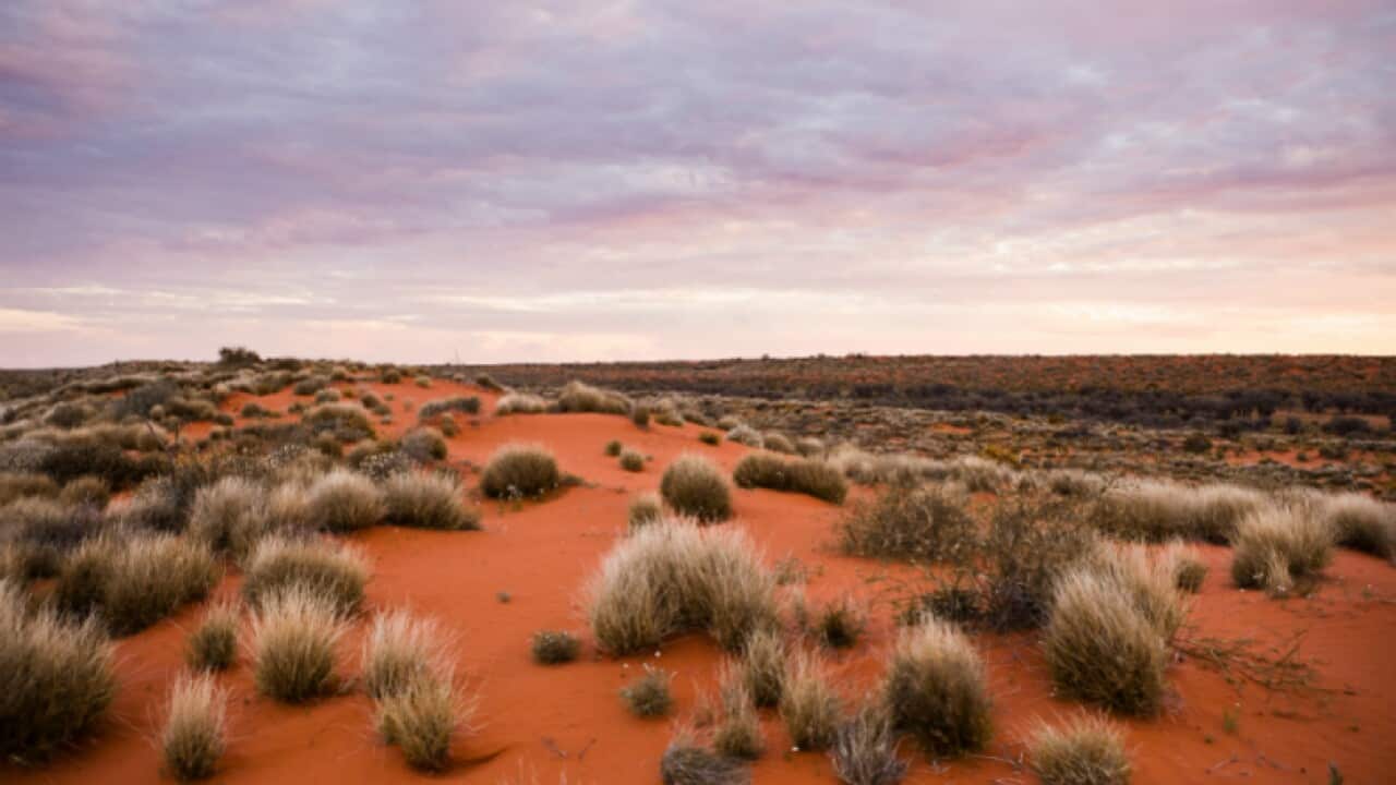 Simpson Desert