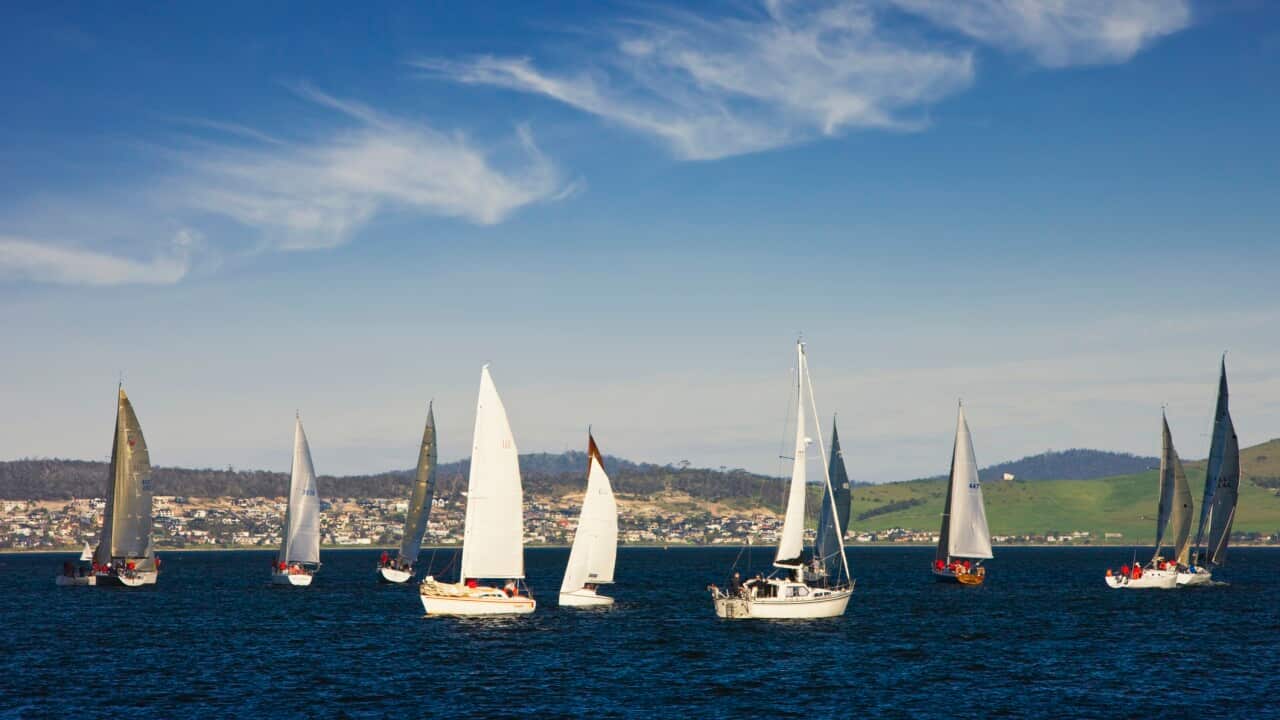 Sail boats in the breezy waters off Hobart