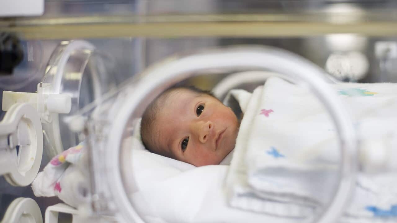Hispanic baby in intensive care unit