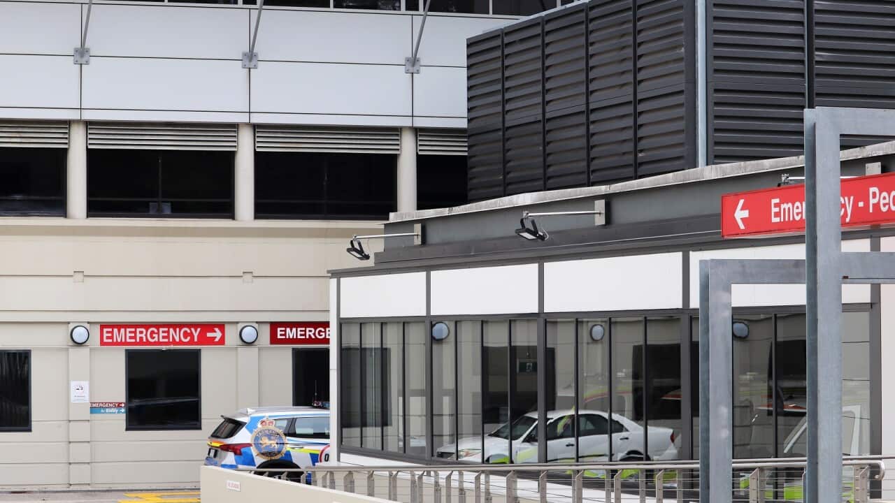 LAUNCESTON GENERAL HOSPITAL STOCK