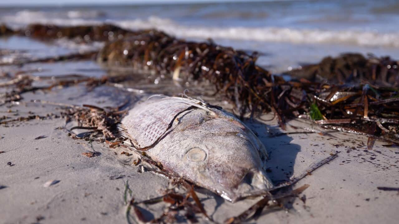 Image for read more article '相關內容'