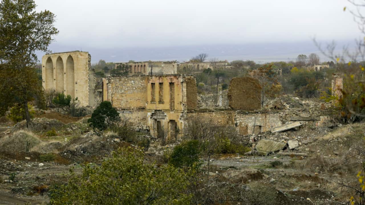 Image for read more article 'READ MORE'