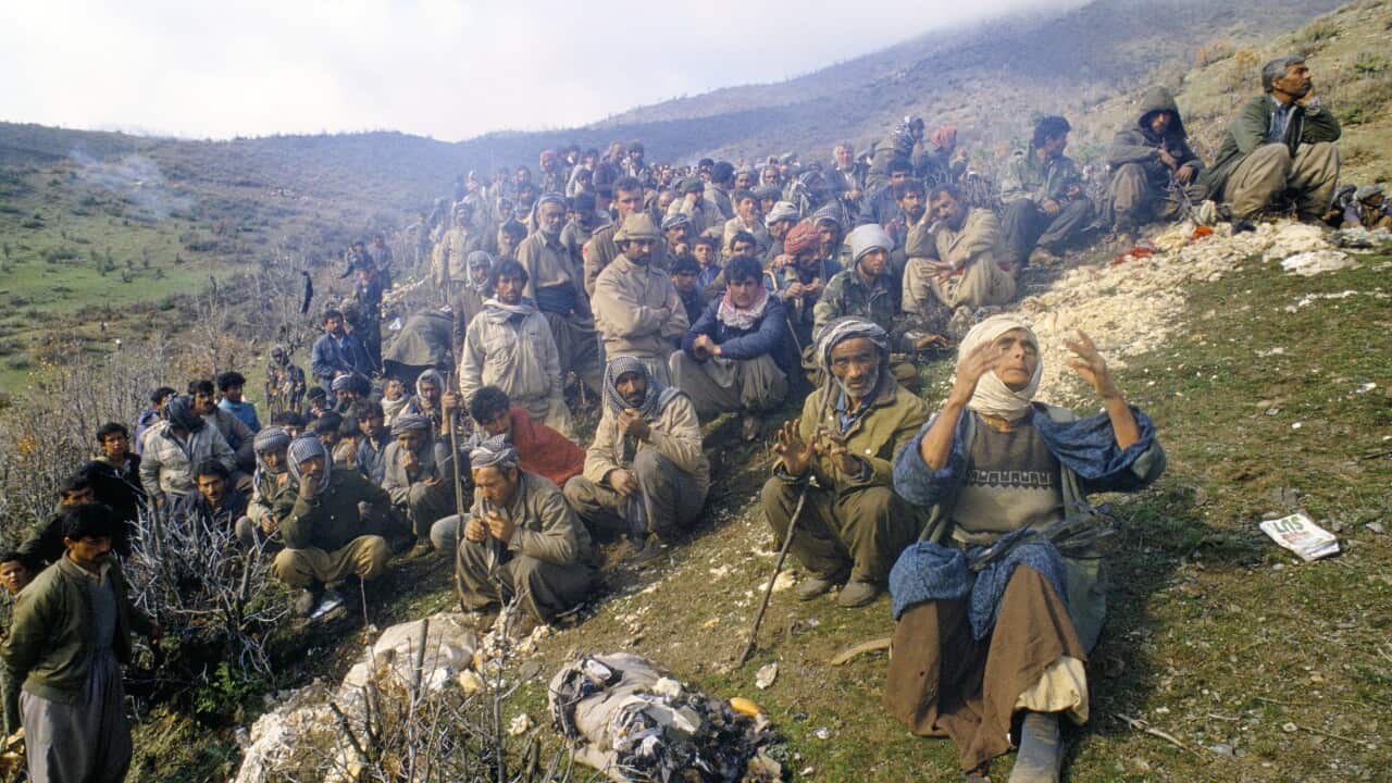 Herêma Kurdistanê serhildana sala 1991ê bi bîr anî SBS Kurdish