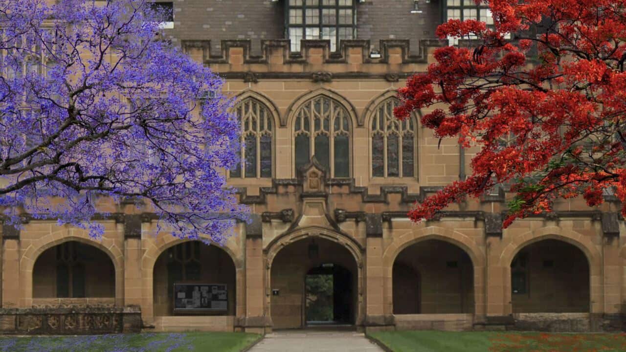 Image for read more article 'READ MORE ON CAMPUS SEXUAL ASSAULT'