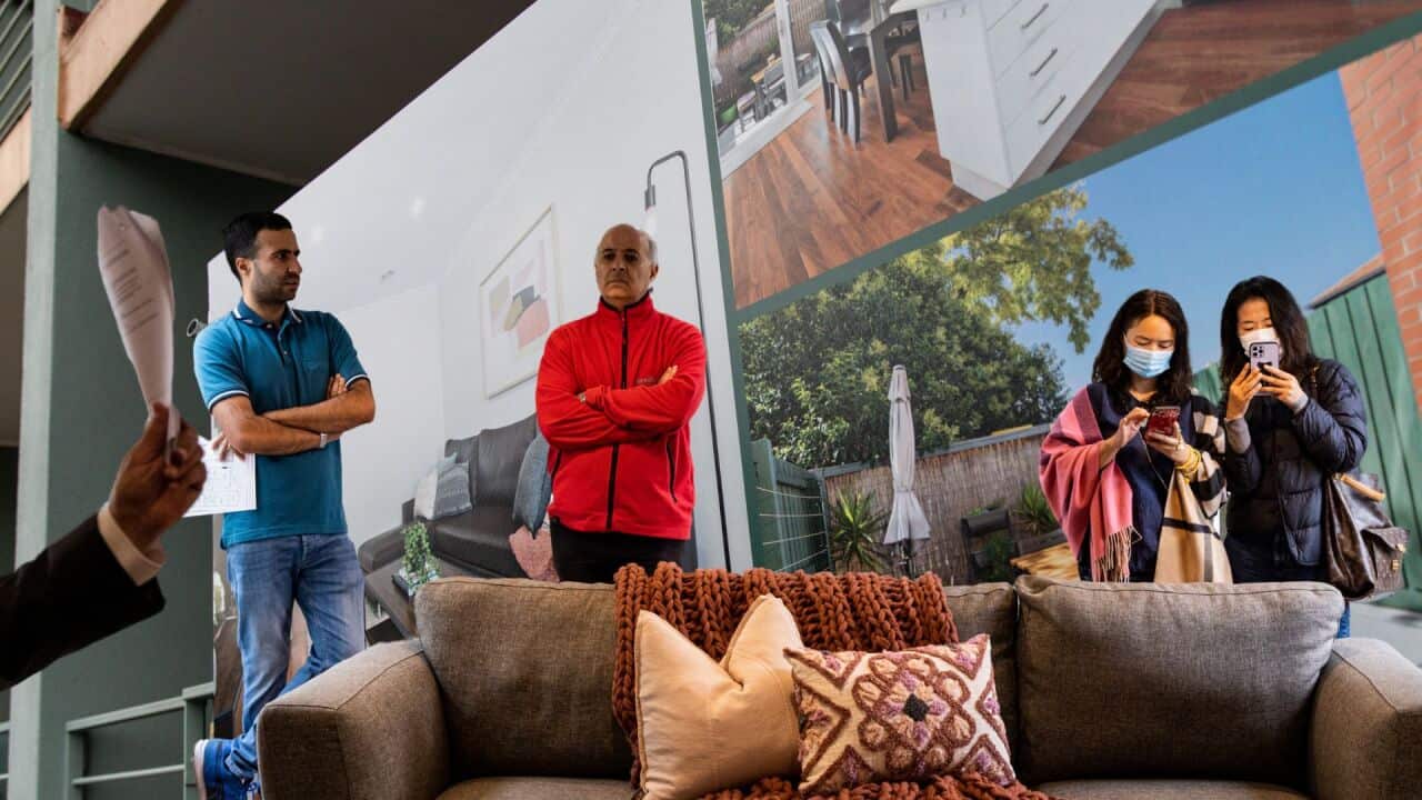 Copy of Copy of Yogmata (1).jpg