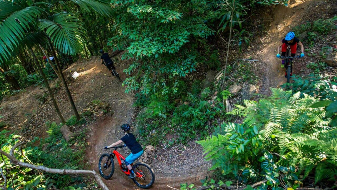 Smithfield Mountain Bike Park, cairns, queensland