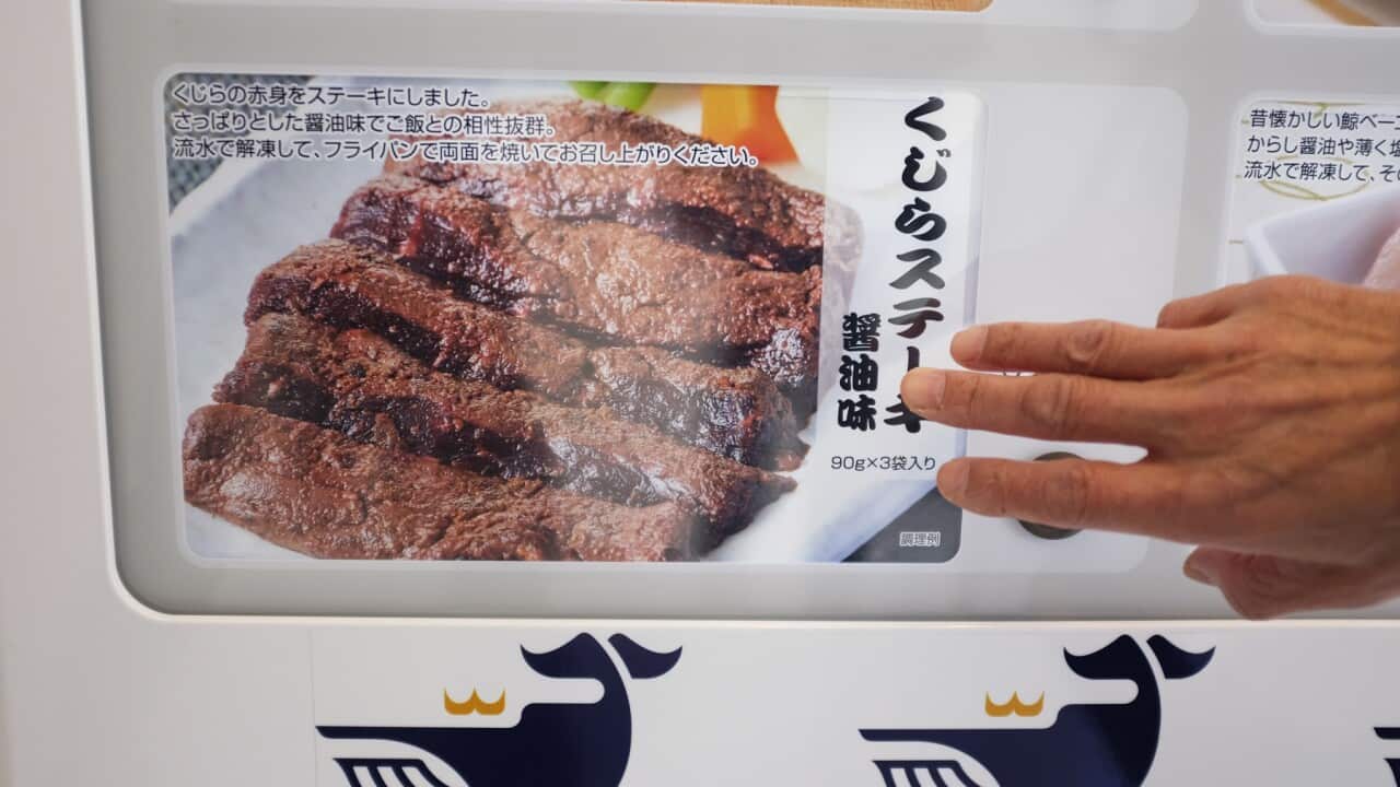 Japan Whale Meat