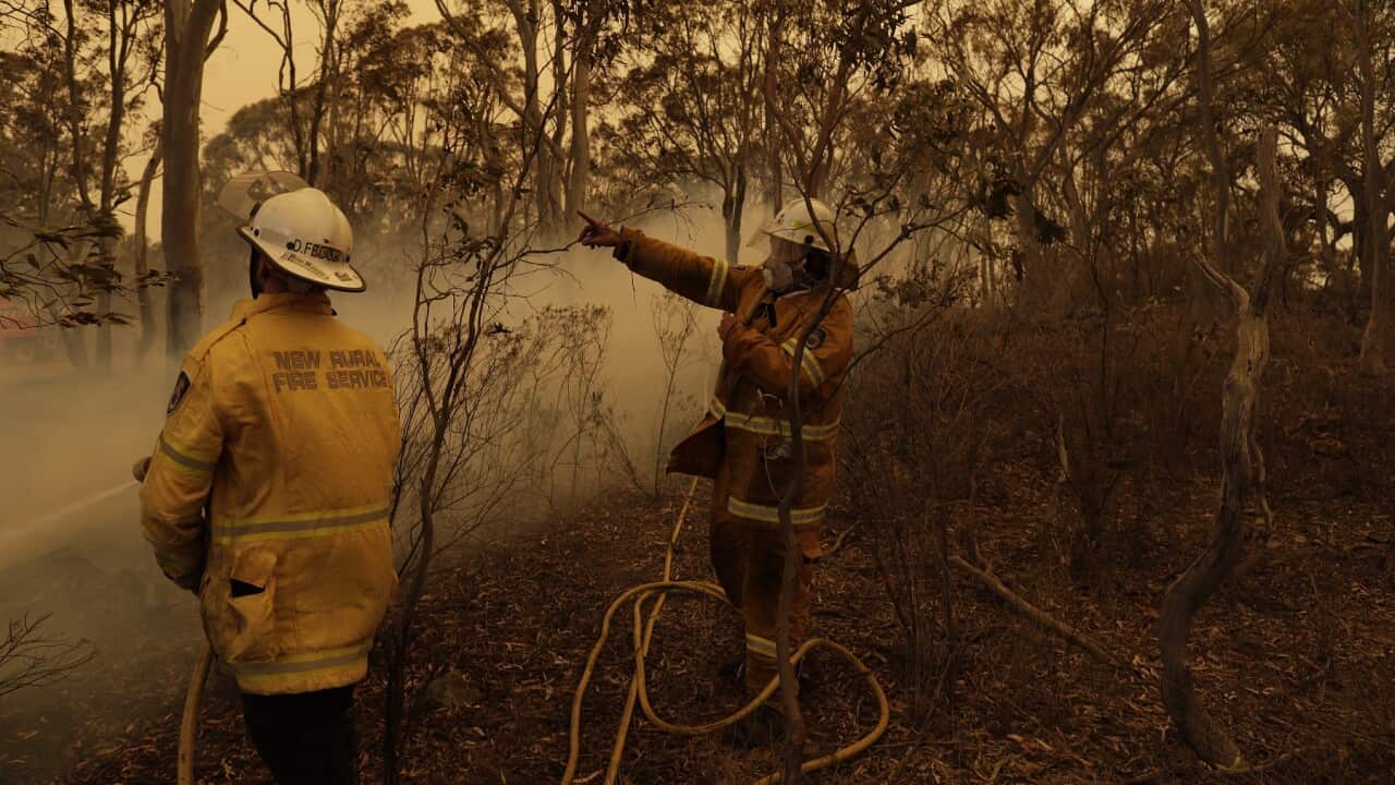 BUSHFIRES ACT