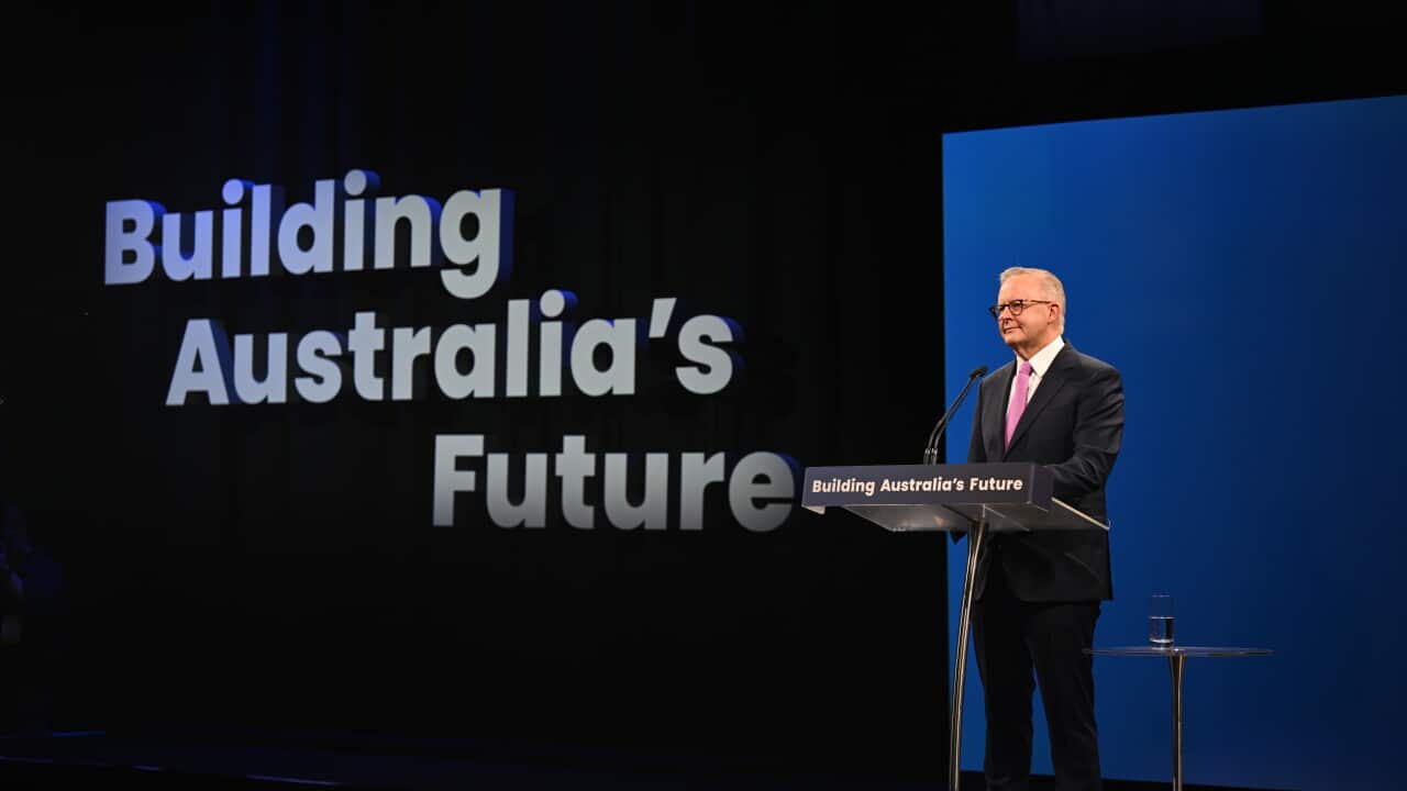 ELECTION25 ANTHONY ALBANESE CAMPAIGN