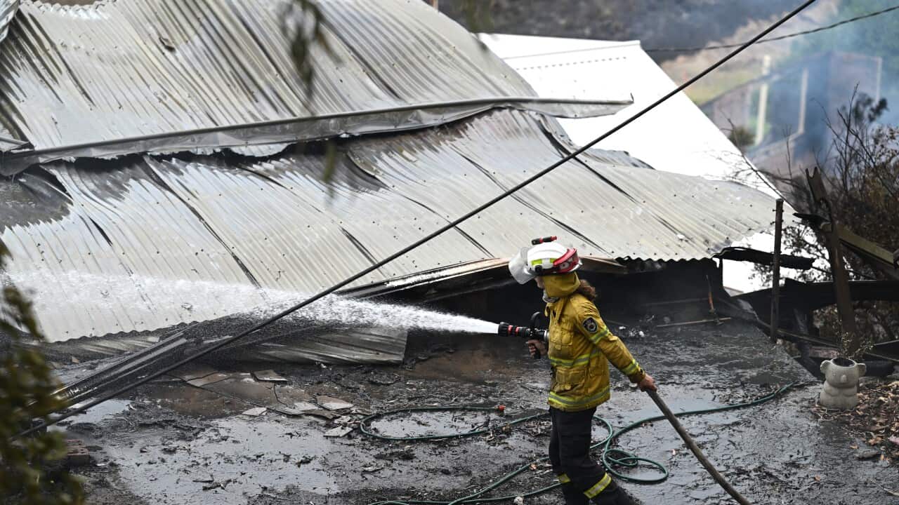 Queimadas em Central Coast (NSW)