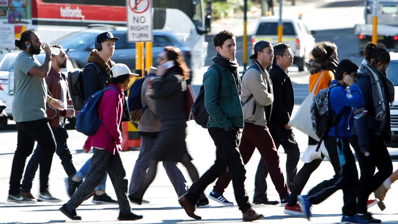 A new migrant employment legal service has been launched in NSW