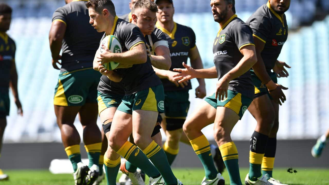 The Wallabies play their first World Cup match against Fiji on September 21 in Sapporo, Japan.