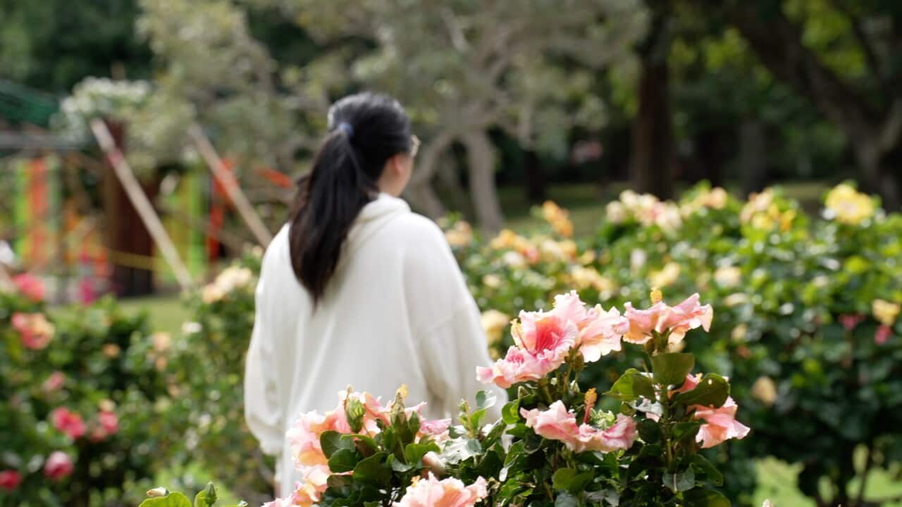 Image for read more article '更多內容'