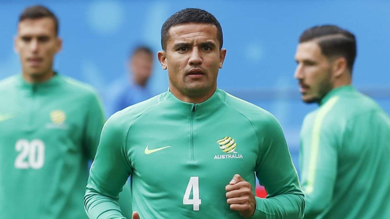 Image for read more article 'READ MORE'