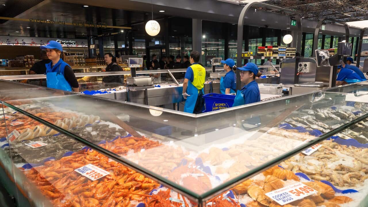 SYDNEY FISH MARKET OPENING