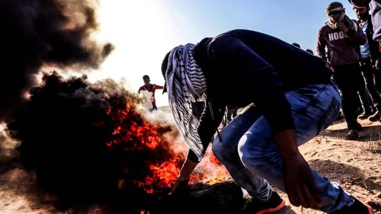 Palestine Israel Conflict