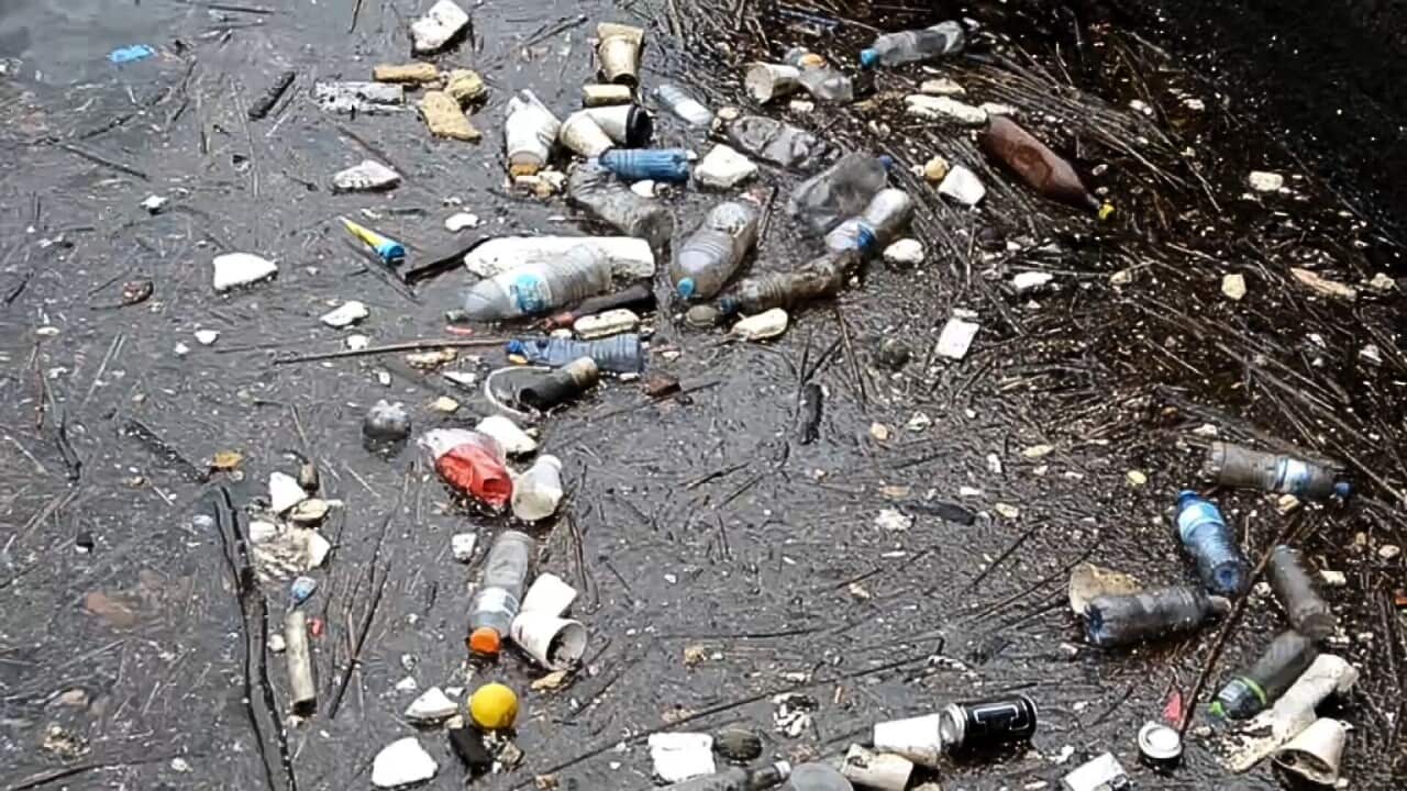 Yüzen plastik atık (SBS).jpg