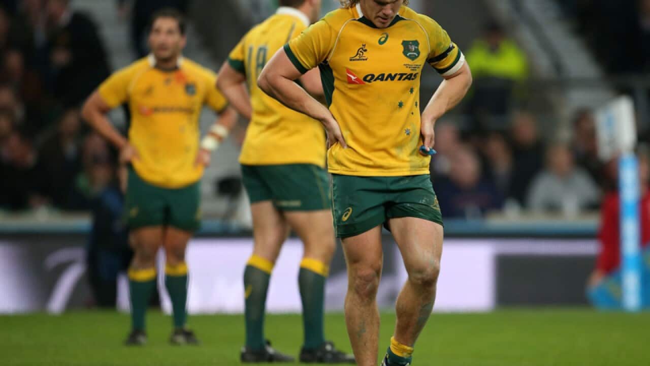 The Wallabies.