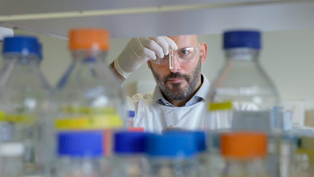 Image for read more article ''