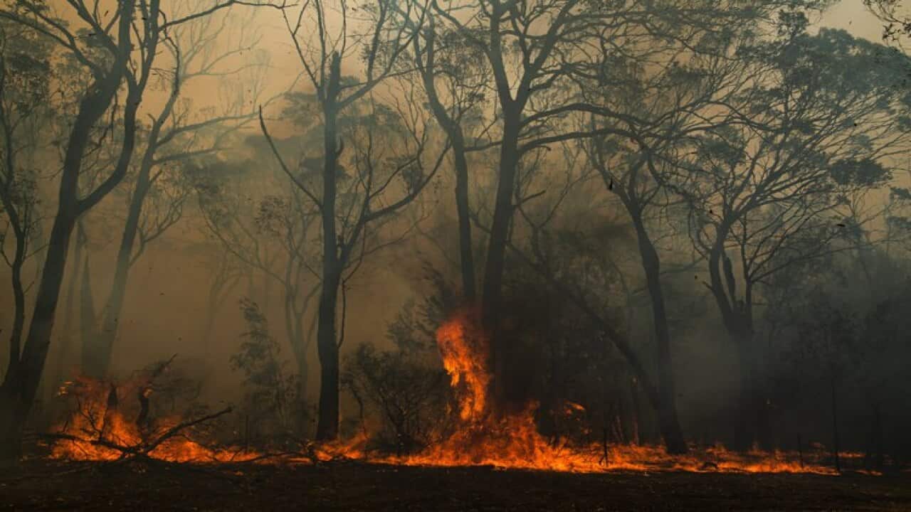 Image for read more article 'READ MORE'