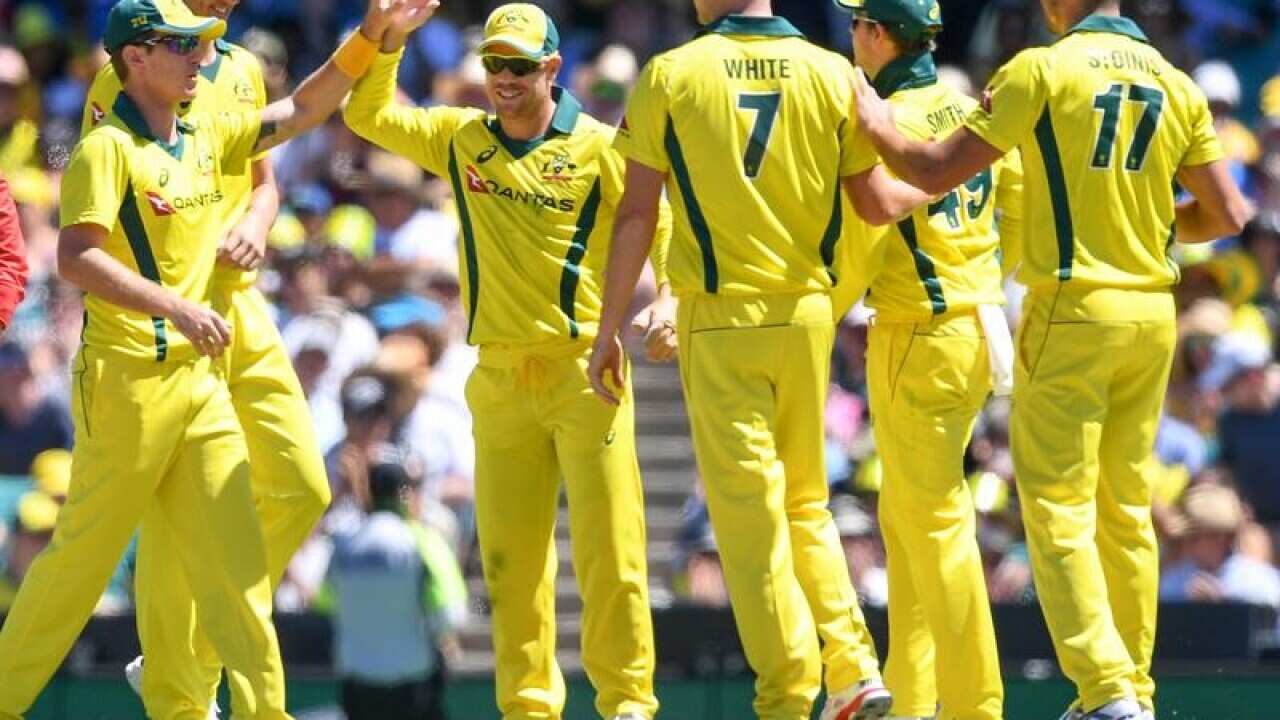 Australia cricketers