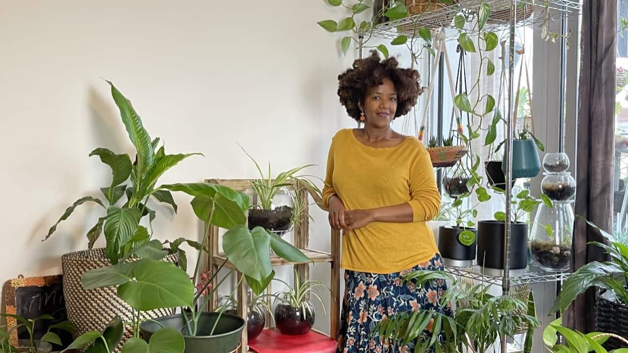 Mimi Garden