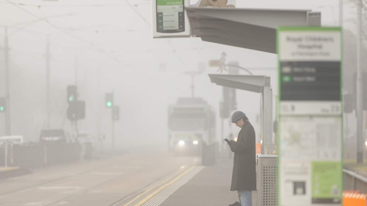 A person with a coat stands at a Melbourne tram stop.