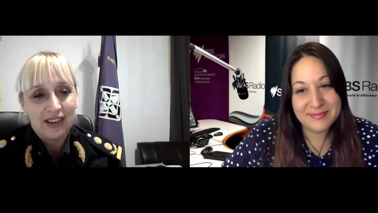 Image for read more article 'Contenido relacionado:'