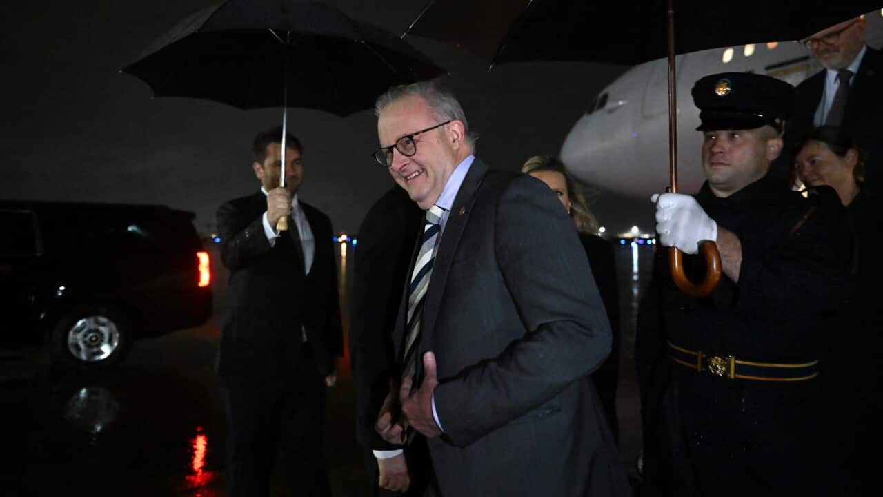 ANTHONY ALBANESE US VISIT