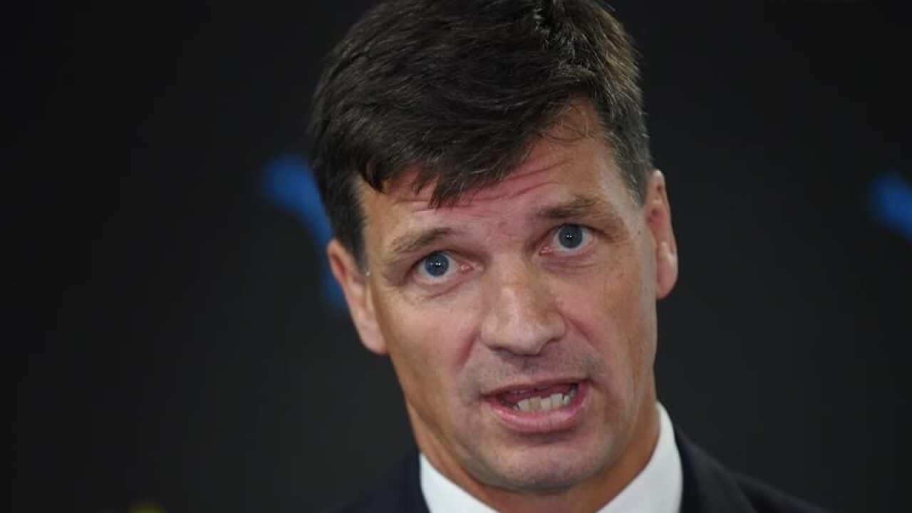 Energy Minister Angus Taylor said he was told the documents were straight from the City of Sydney's website.