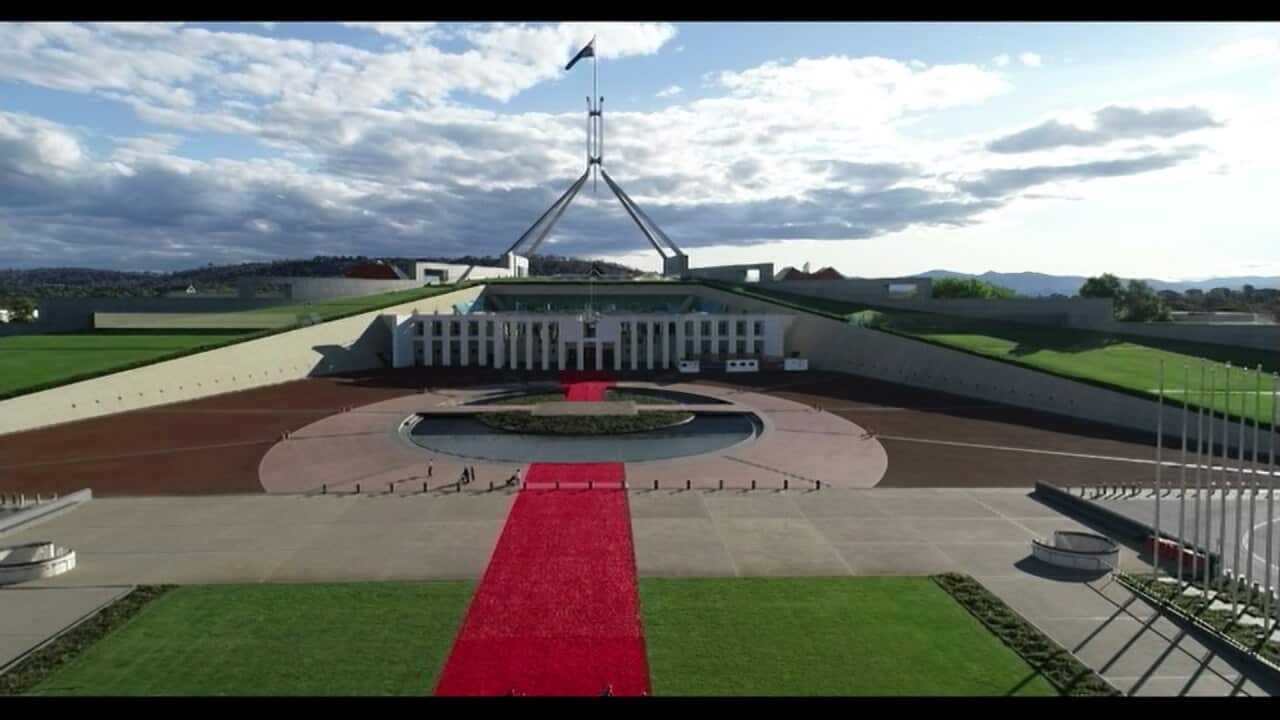 Crochet poppies decorate Parliament House forecourt for Armistice commemorations