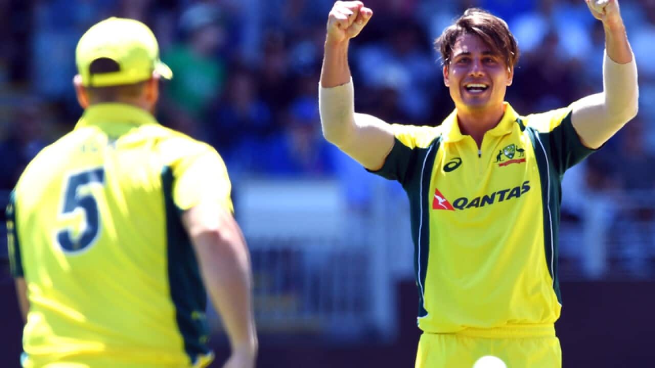 Marcus Stoinis of Australia celebrates