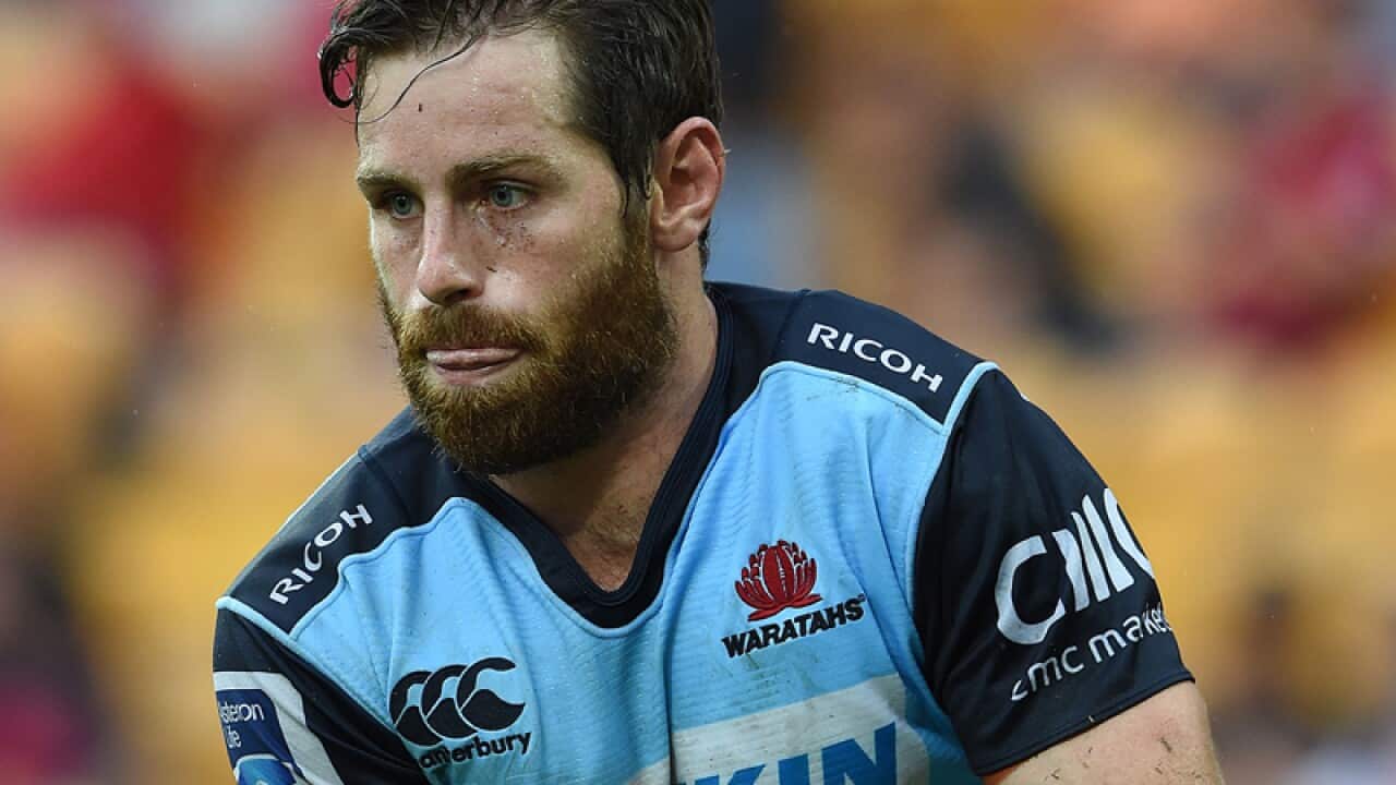 NSW Waratahs playmaker Bernard Foley