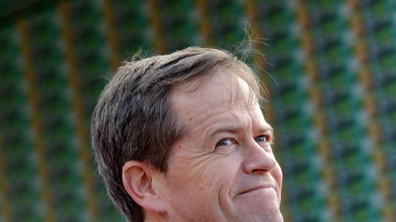 Labor can and must win: Shorten