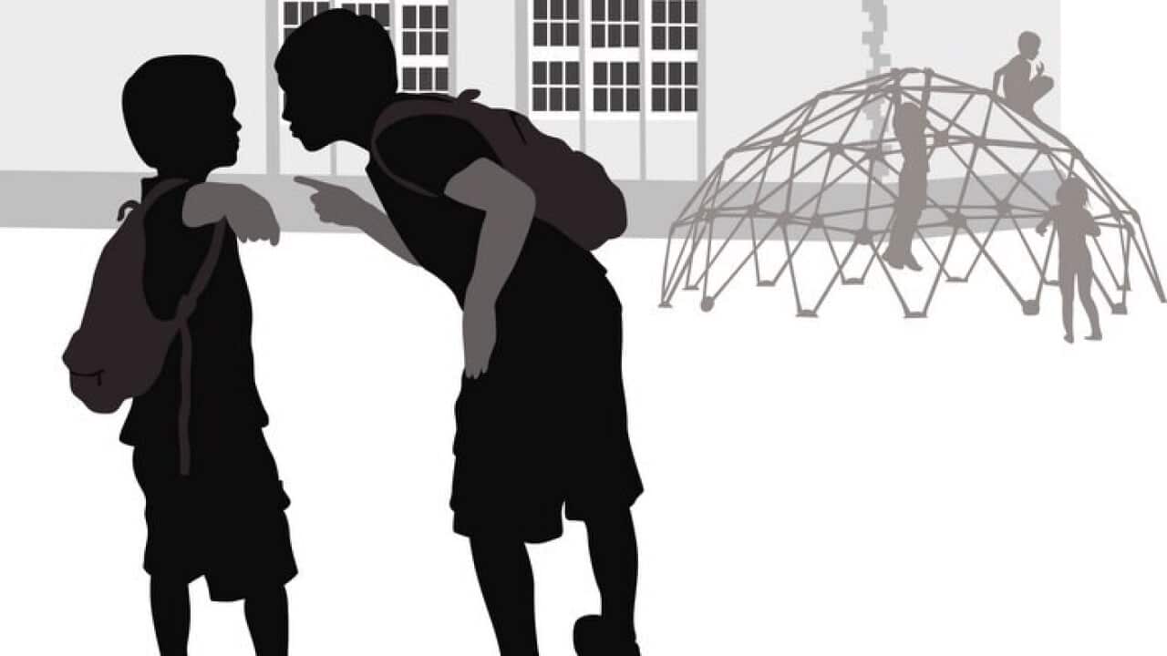 An older brother bullies his younger brother at school.