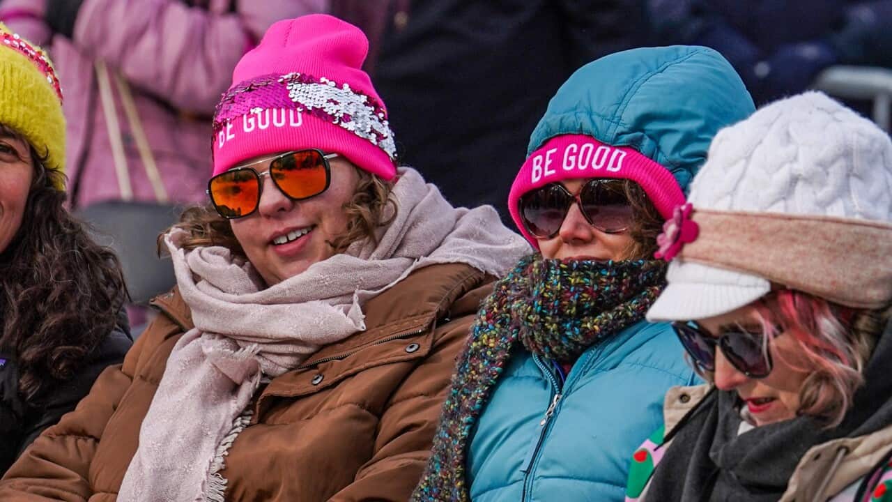 Immigration Enforcement Minnesota